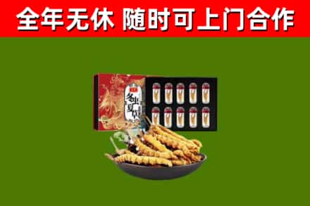 沙田镇烟酒回收冬虫夏草礼盒.jpg